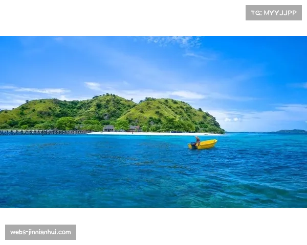 印度尼西亚一胜一平一负,第四阶段表现可圈可点 印度尼西亚一胜一平一负,第四阶段表现可圈可点